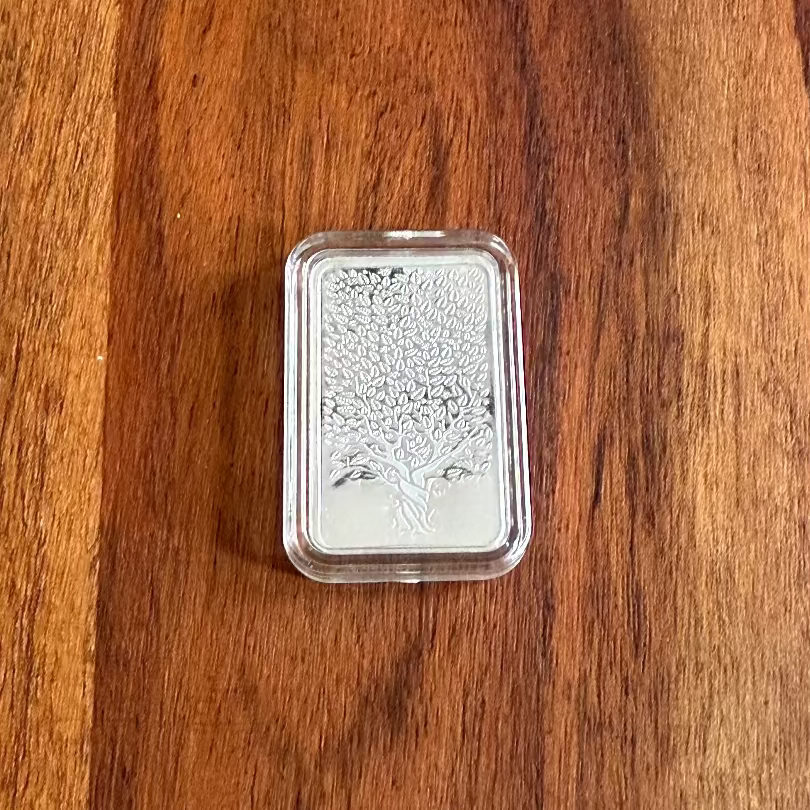 Pure 999 Silver Ingot - 10 Grams with Case