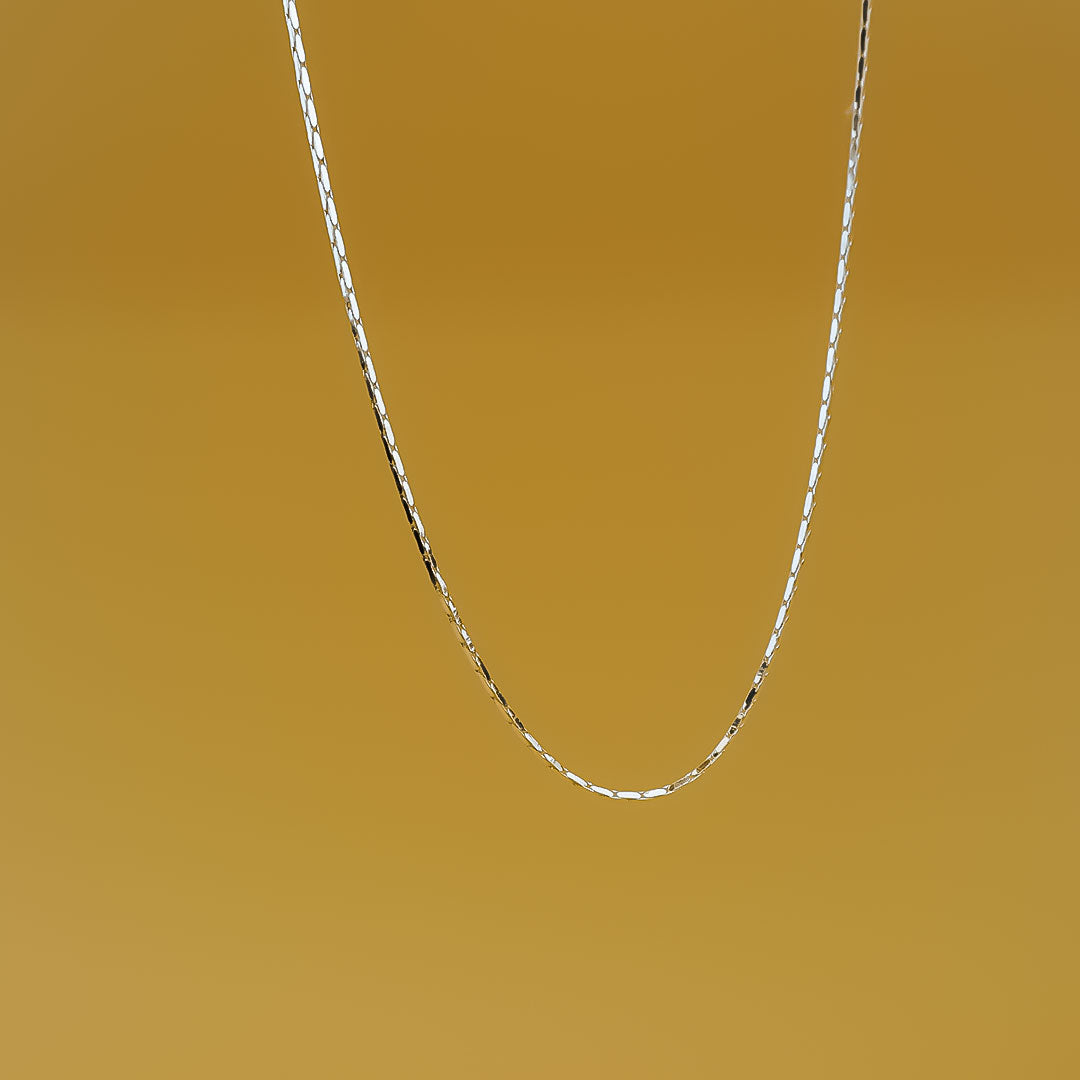SleekShine Silver Chain